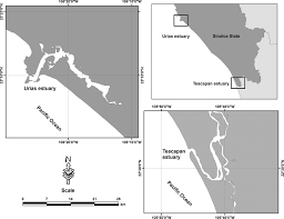 Study area showing sampling sites at Urias and Teacapan estuaries...