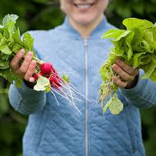 Recently i've used one of the best services like. 10 Best Garden Crops For Beginners