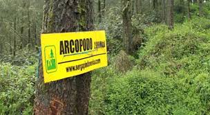 Hasil gambar untuk arcopodo gunung semeru