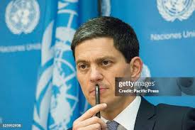 290 David Albin Stock Photos, High-Res Pictures, and Images