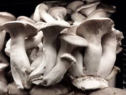 Mushrooms By Sylvia Plath A Reflection Post On The Poem By Hedonia For The Foodpoetryparty Stuffed Mushrooms Sylvia Plath Food