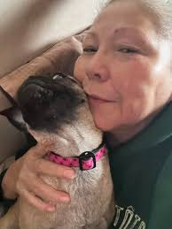 Lazy sunday afternoon with pugs