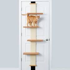 Kediler Icin 30 Raf Yasam Alani Fikirleri 2020 Raf Kedi Fikirler