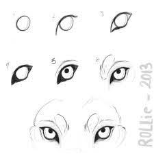Wolf Eye Tutorial By Rollie Fola D69cwob Png 600 600 Pixels Pixels Wolfeyetutorialbyrolliefolad69cwobpng Wolf Eye Drawing Wolf Eyes Wolf Face Drawing