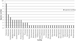 Image result for Xysmalobium heudelotianum