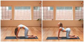 If You Only Do 5 Yoga Poses Do These Yoga Poses Osteoporosis Bone Health