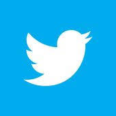 twitter logos brand southern ladies twitter social media