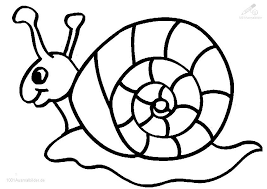 Koala bär ausmalbild source : 1001 Malvorlagen Tiere Schnecke Malvorlage Schnecke