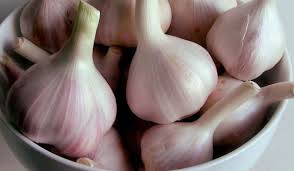 بعد أن تتعرف على فوائد أكل الثوم على الريق ستجهزه بجانبك قبل النوم عين نيوز