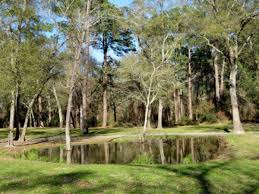 Photos of parsons house cypress. Maxwell Park In Cypress Tx A Hidden Gem Wanderwisdom