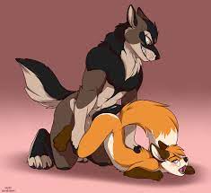 FurryBooru - 2014 animal genitalia anthro ass up balls black penis blush  canine canine penis duo eyewear fox gay glasses green eyes hot dogging  kipfox knot lying male mammal moonwolf muzz nude