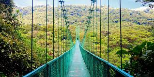 Here you can find valuable information about costa rica: Iso The Green Heart Of Costa Rica