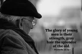 This powerful bible quote is truly a great reminder to see your gray hair as a majestic feat. Heartlight Gallery Gray Hair