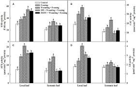 Now let's keep an eye onto 8 steps of crafting a magic spell: Frontiers The Role Of Hydrogen Peroxide In Mediating The Mechanical Wounding Induced Freezing Tolerance In Wheat Plant Science
