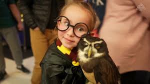 Animační plány I Blue Mountain Resort