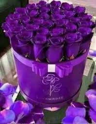 لوفي السّماح لأيّ أحد أو أيّ شيء بالوقوف في وجهه في سعيه ليصبح ملك القراصنة. Ø¹Ø±Ø§Ù‚ÙŠ Ø§Ù†Ø§ ÙˆØ§ÙØªØ®Ø± Ø¥Ø¨Ø¯Ø§Ø¹ ÙˆØ°ÙˆÙˆÙ‚ Wattpad