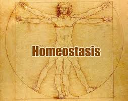 Check spelling or type a new query. Why Homeostasis Is Important Examples Of Homeostasis