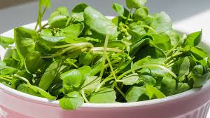 But balance of nature's veggie supplement includes 13 raw vegetables and fruit supplements include 12 raw fruits that showcase the quality and potency of the supplement. Plant Power The 10 Veggies With The Most Protein