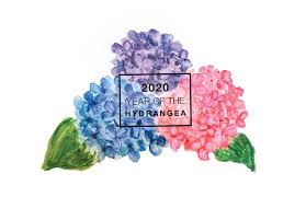 We did not find results for: Year Of The Hydrangea National Garden Bureau 4 Different Flower Types