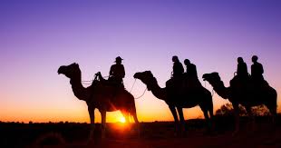 Was an amazing experience sunrise camel ride. Camel Riding In Alice Springs Northern Territory Australia