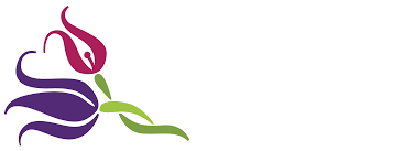 Maybe you would like to learn more about one of these? Denver Florist Flower Delivery By The Twisted Tulip
