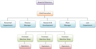 What Is Organization Definition Process And Types