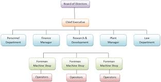 what is organization definition process and types