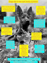Soucheray's at home veterinary care, we strive to provide a peaceful, compassionate, and high quality veterinary experience in your home. Forest Avenue Veterinary Hospital Home Facebook