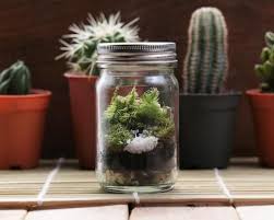 How To Make A Terrarium Diy Succulent Terrarium Diy Succulent Terrarium How To Make Terrariums Succulent Terrarium