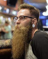 Pin By Cris Ferreira On Big Staches Long Beards Beard Moustache