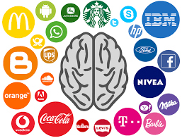Qué es el neuromarketing? - Ecdisis Estudio