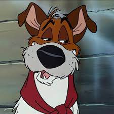 We did not find results for: Oliver And Company Dodger Home Facebook