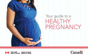 Possible causes of this error could be: Your Guide To A Healthy Pregnancy Canada Ca