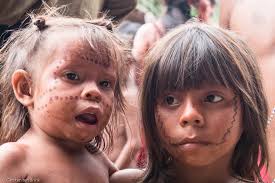 Indigenous tribes made ill from processed foods