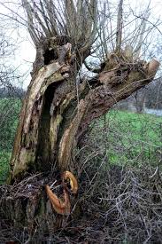 Mit christiane musste er das gespräch suchen, um über den fortgang der kanzlei zu. Symbolbild Innere Zerrissenheit