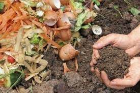 Check spelling or type a new query. Instructions For Composting How To Start Compost For Gardens