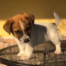 Maybe you would like to learn more about one of these? Amy Luhmann Amyluhmann Profile Pinterest