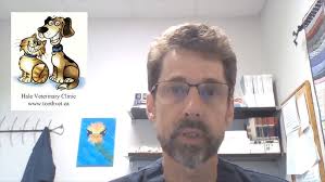 Hale Veterinary Clinic closed until August 24th.