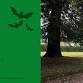 Pine Needle Scrub Family Workshop - 1pm event image