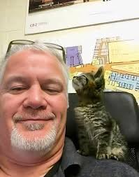 People who threw kitten out of car