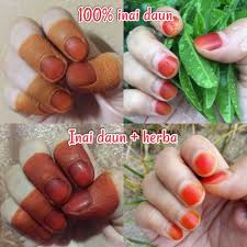 Daun bawang adalah salah satu jenis tanaman sayuran dari kelompok tanaman bawang dengan nama latin allium fistulosum. Inaidamia Inai Merah Suci Asli Rambut Dan Jari Free Gift Setiap Pembelian Shopee Malaysia