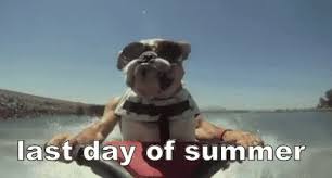 Maybe you would like to learn more about one of these? Last Day Of Summer Meme Gifs Tenor