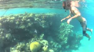 We have reviews of the best places to see in eilat. Snorkeling In Eilat Israel On The Red Sea Youtube