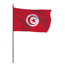 ‎صفحة خاصة تعنى بعلم البلاد التونسية و الموجود داخل و خارج drapeaux france. Drapeau De La Tunisie Monte Sur Une Hampe En Bois Doublet