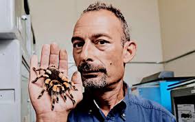 Louis Perrotti's Instagram, Twitter & Facebook