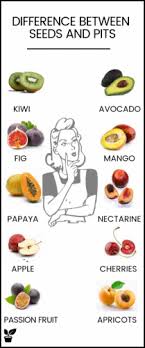 Check spelling or type a new query. Fruits With Seeds Or Pits Dangerous Seed Seedless And Outside Seed Irrigation Supplies