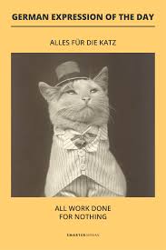 Learn German Cats In 2020 German Words Learn German German