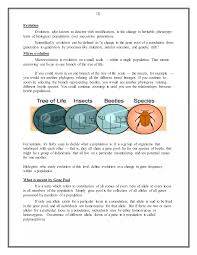 Allele frequency | DOCX