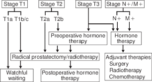 Although the percentage of cases in men is much lower than in women, male breast cancer accounts for a por. Treatment Strategies For Prostate Cancer By Stage Download Scientific Diagram
