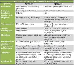 mitosis and meiosis compare and contrast chart google